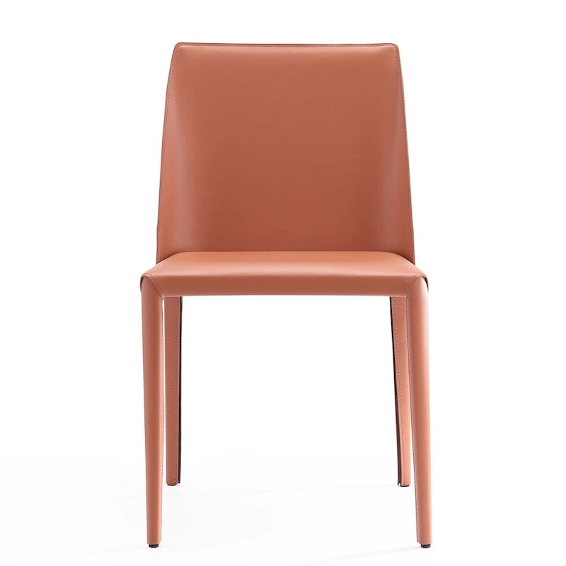 Contemporary Modern Dining Chair (Set of 2)