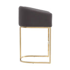 Mid-Century Counter Height Bar Stool with Gold Base (Set of 3)